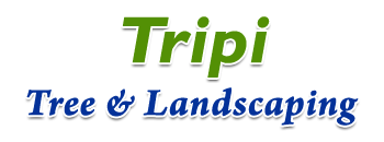 Tripi Tree & Landscaping
